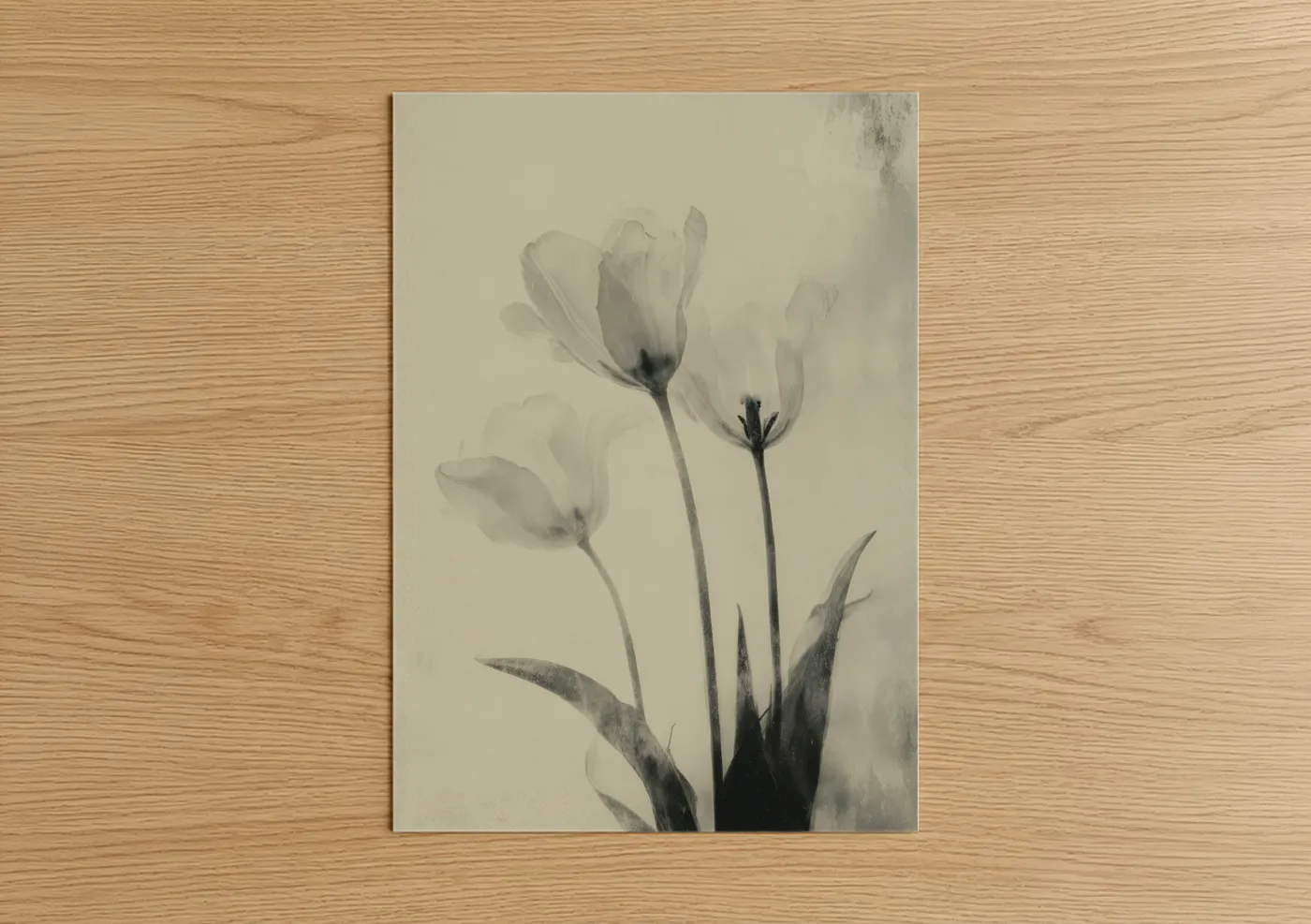 Ethereal Tulips Black and White Wall Art