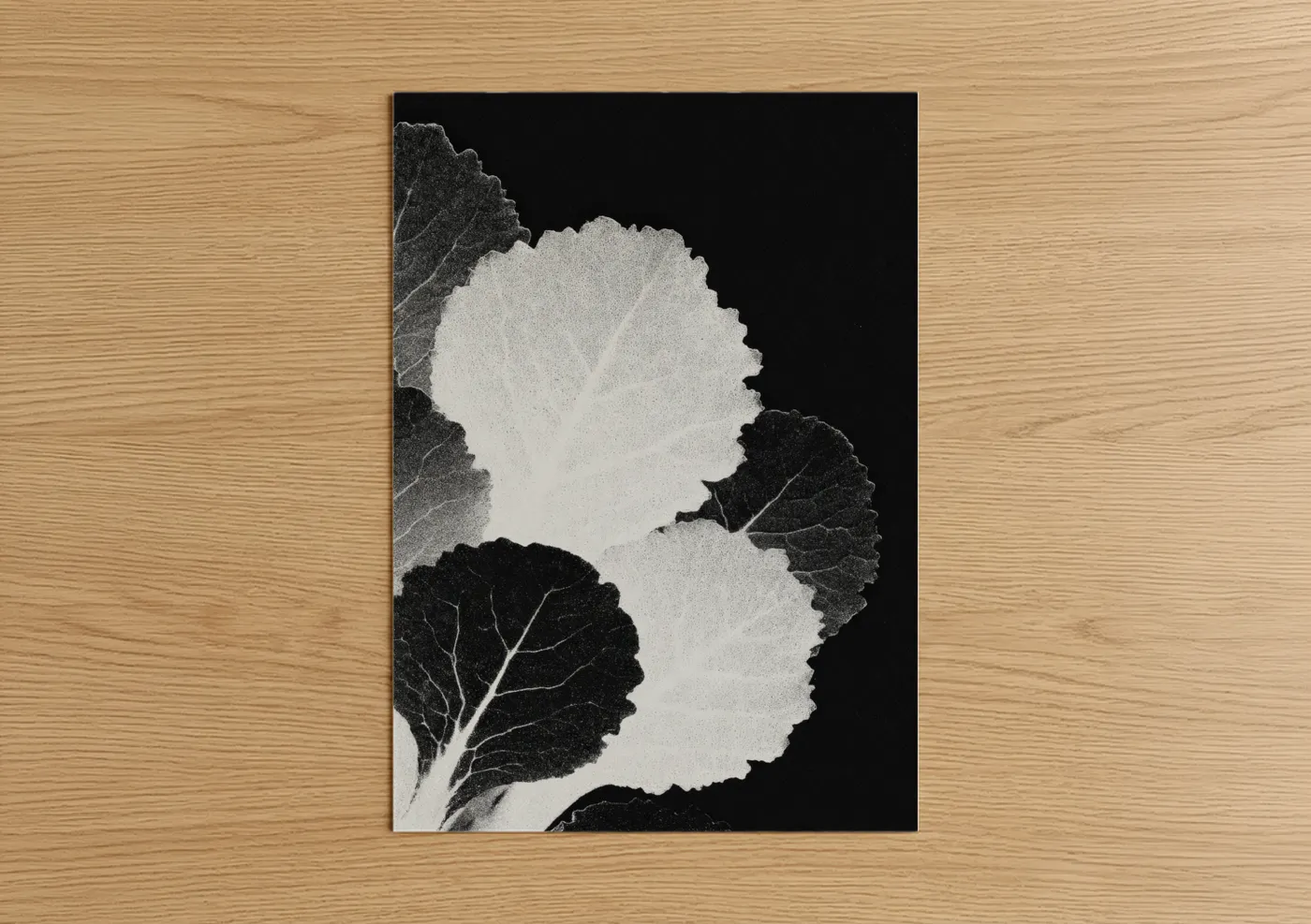 Art print on warm oak wood — black and white palette — Monochrome Salad Leaves poster