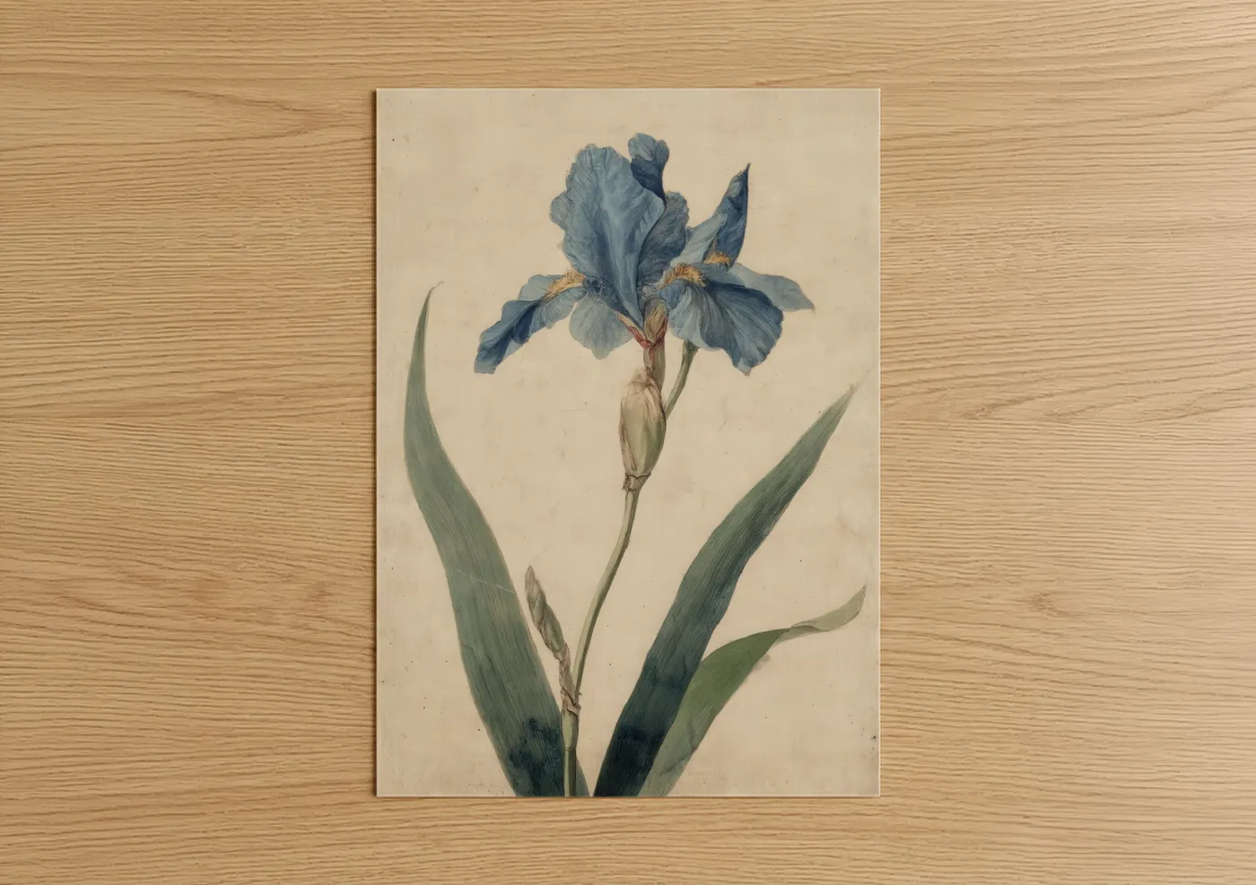 Blue Iris Botanical Watercolor Wall Art
