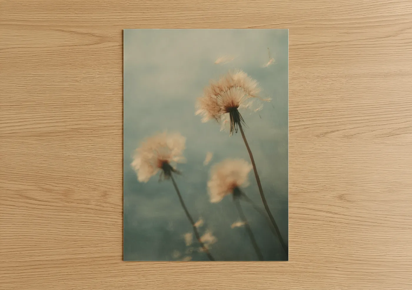 Art print on warm oak wood — peach and bermuda gray palette — Dreamy Dandelion poster