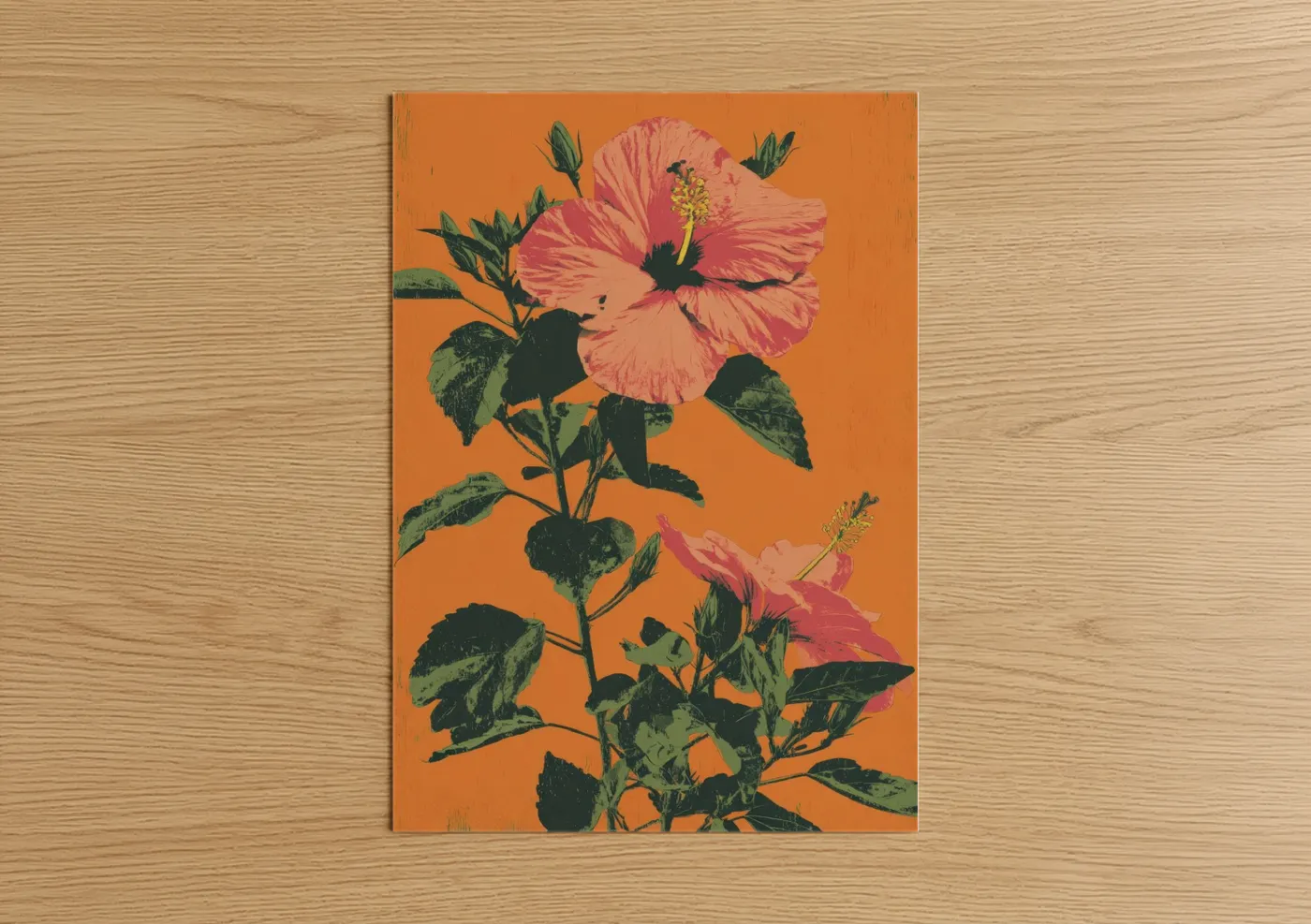Coral Hibiscus Botanical Illustration Wall Art