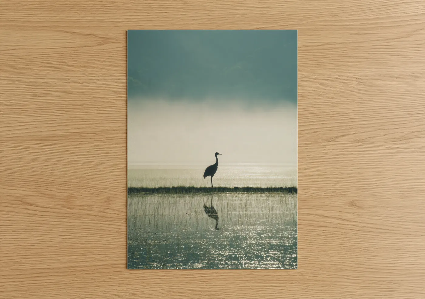 Solitary Crane Wetland Reflection Wall Art