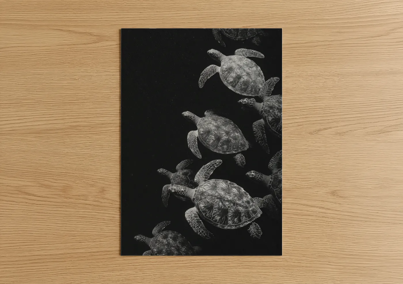 Sea Turtles Swimming Underwater Black White Wall Art