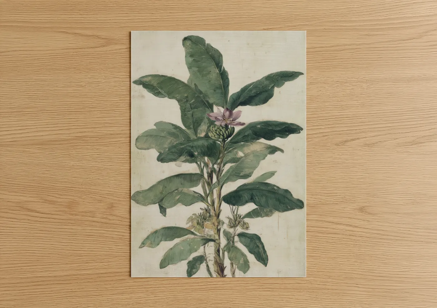 Banana Blossom Botanical Illustration Wall Art