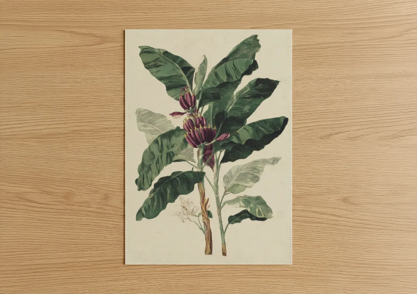 Fruit trees art print on warm oak wood — dark green and maroon palette — Crimson Banana Plant poster