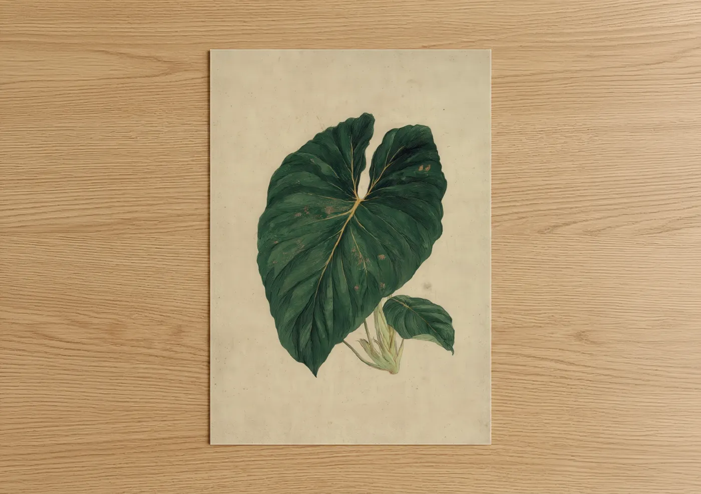 Tropical Monstera Botanical Illustration Wall Art