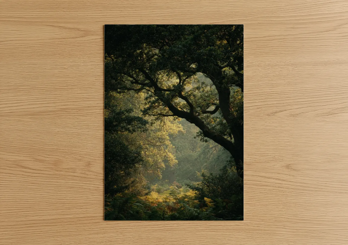 Oak forest art print on warm oak wood — dark green and gold palette — Golden Oak Canopy poster
