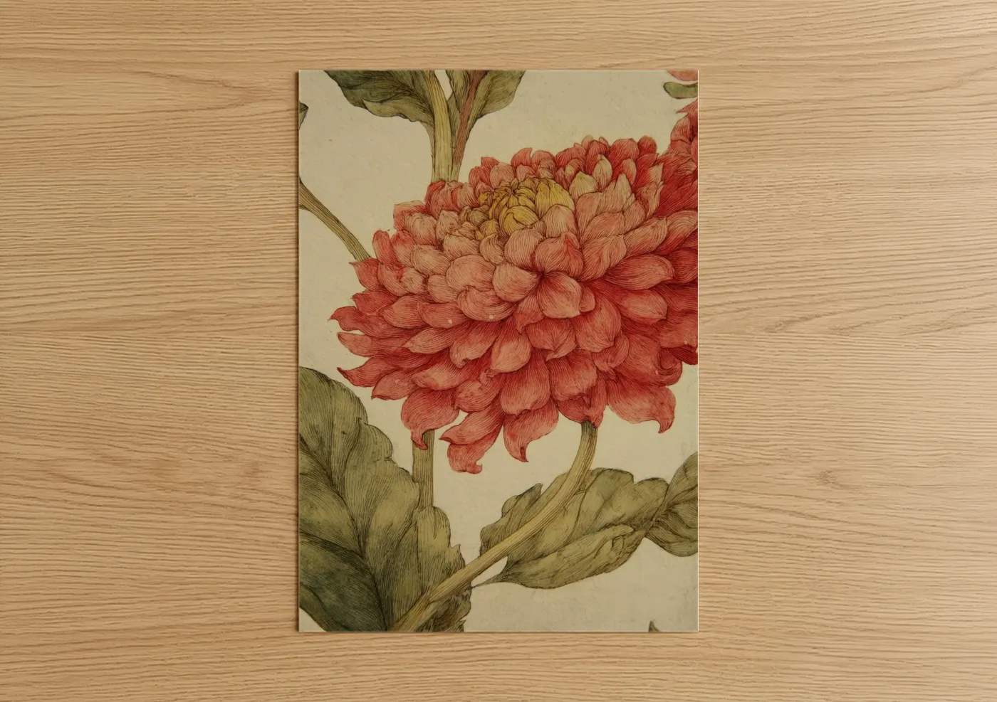 Art print on warm oak wood — salmon pink and sage green palette — Coral Dahlia poster