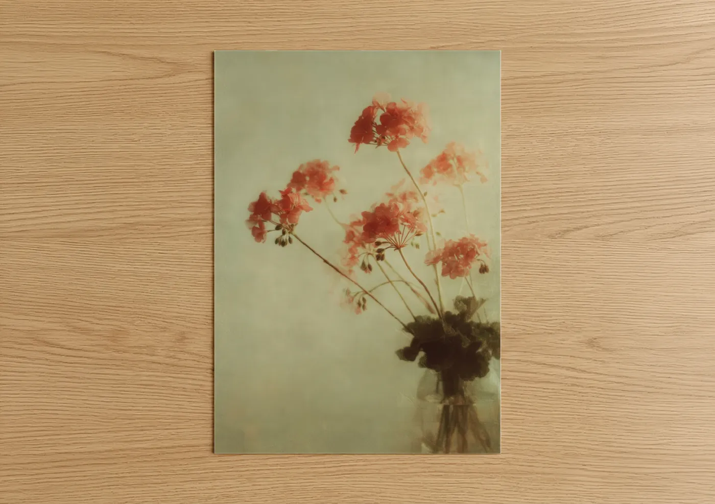Faded Geranium Vintage Floral Watercolor Wall Art