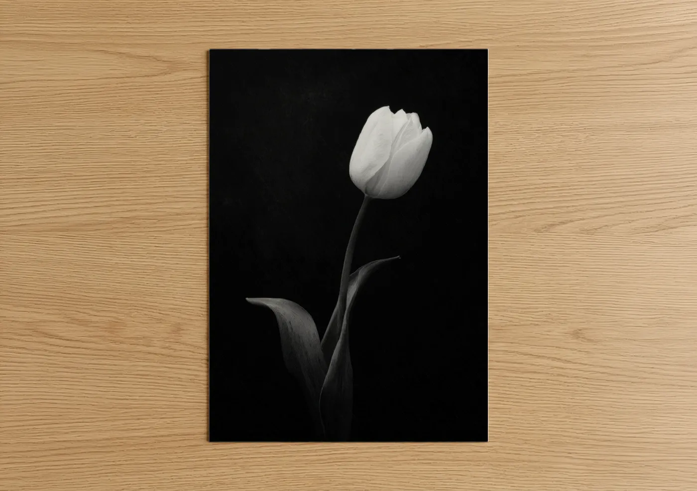 Monochrome Tulip Black and White Flower Wall Art