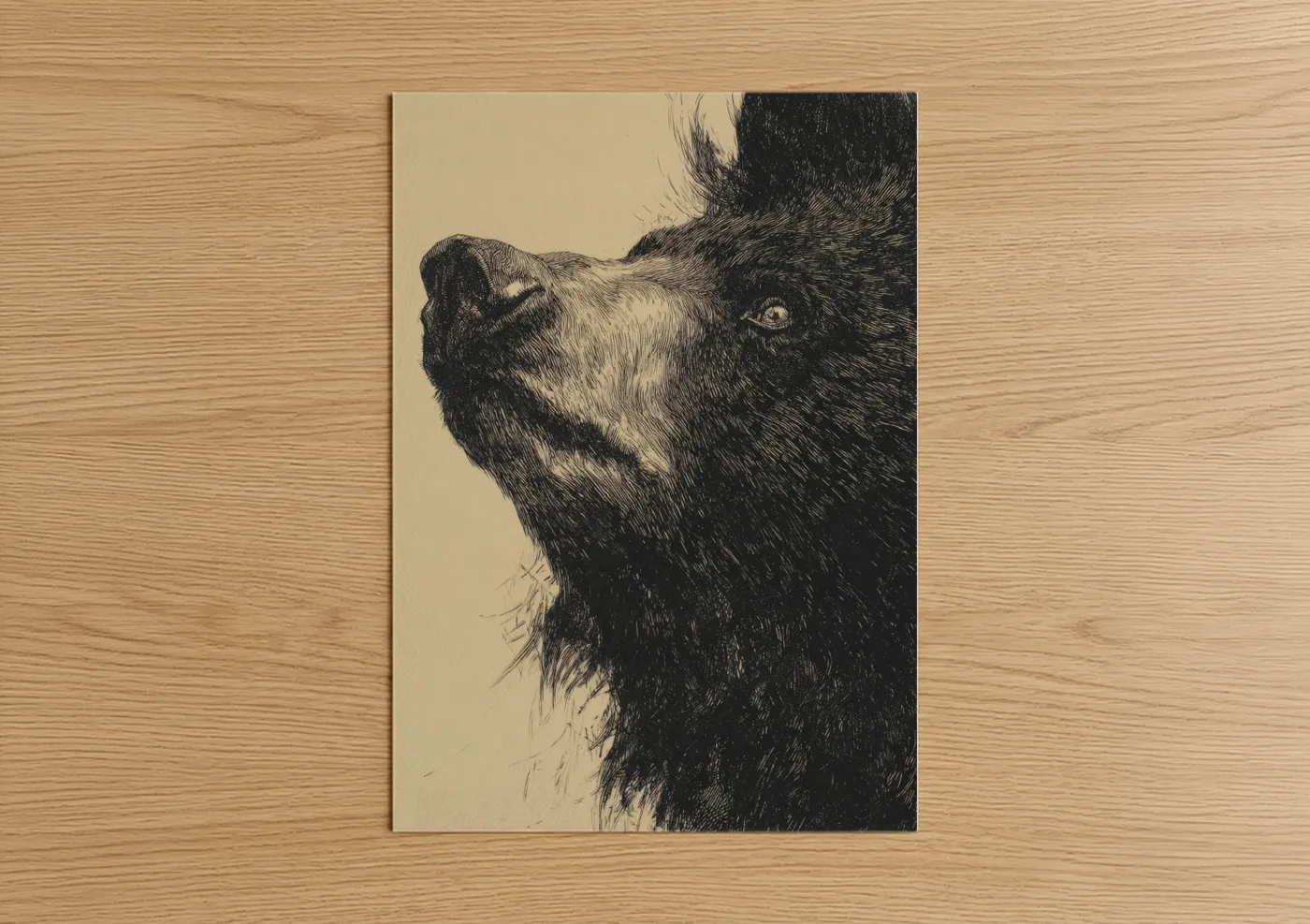 Upward Sloth Bear Ink Sketch Wall Art