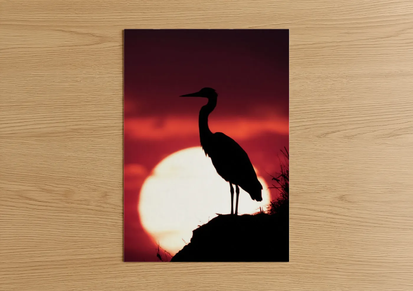 Heron Silhouette Sunset Photography Wall Art