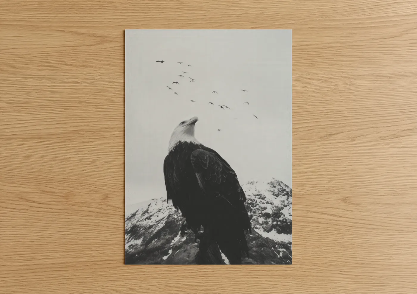 Bald Eagle Mountain Peak Black White Wall Art