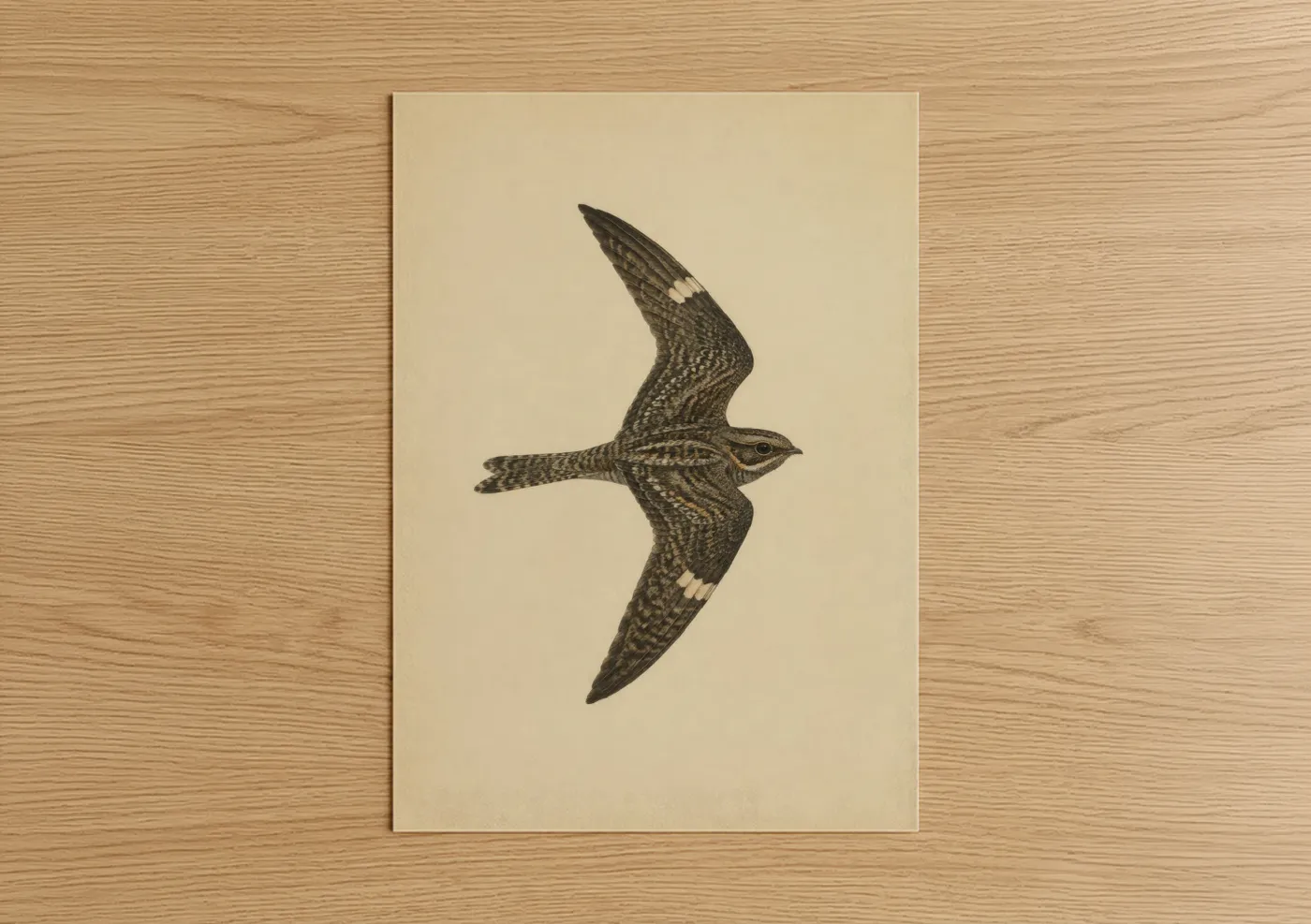 Birds art print on warm oak wood — beige and cream palette — Vintage Songbird In Flight Wall Art poster