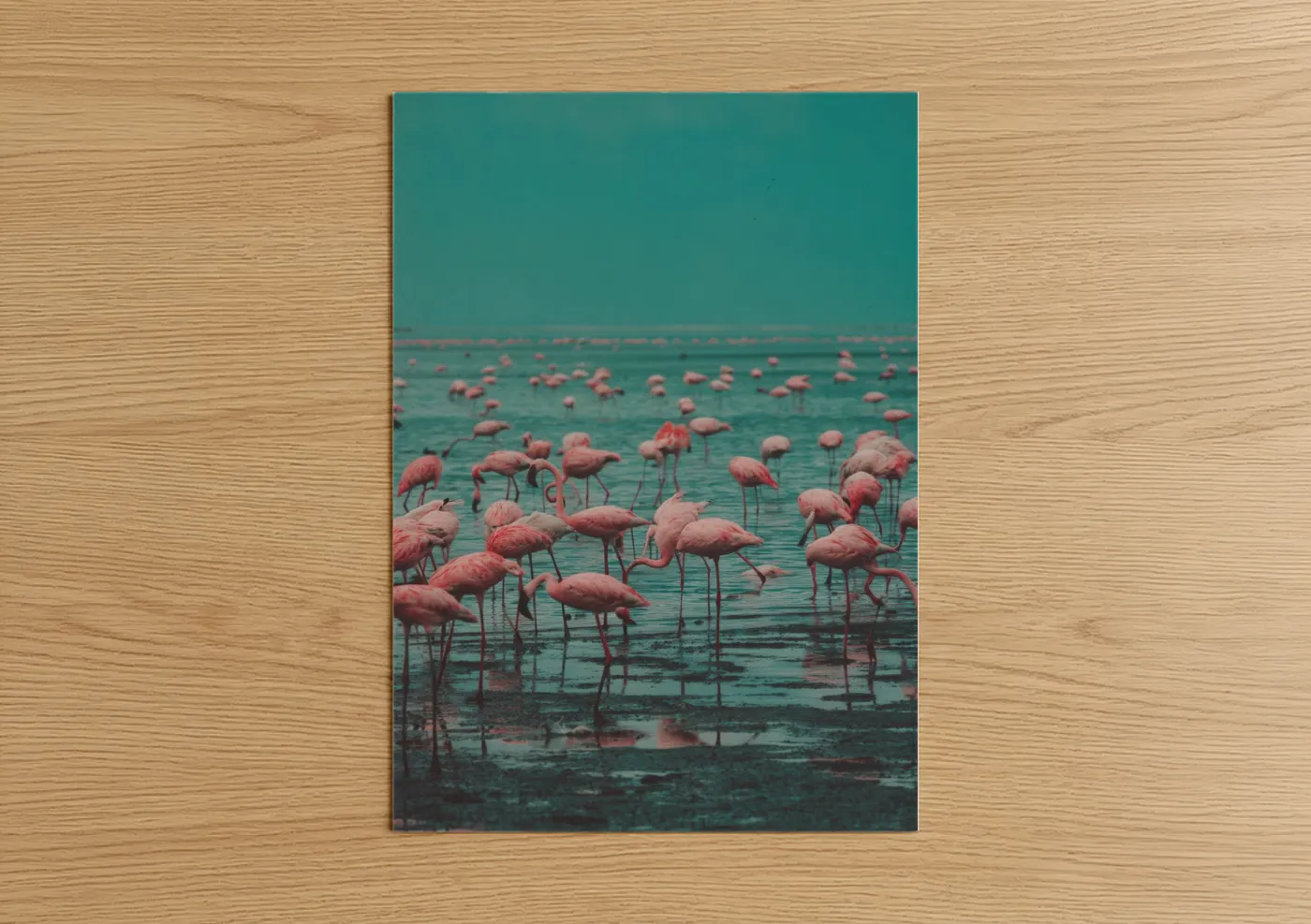 Pink Flamingo Flock Turquoise Water Wall Art