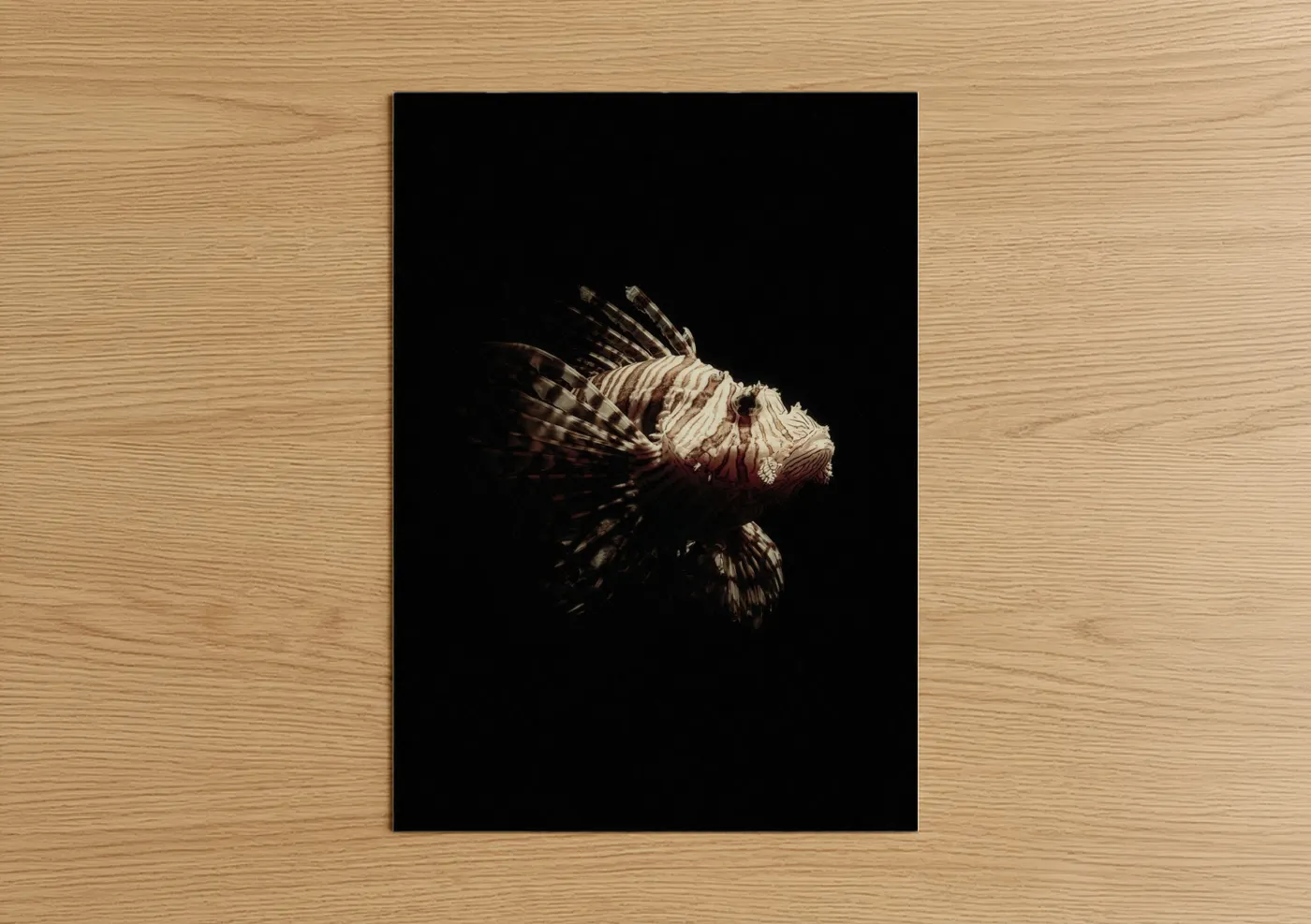 Art print on warm oak wood — cream and maroon palette — Crimson Lionfish poster