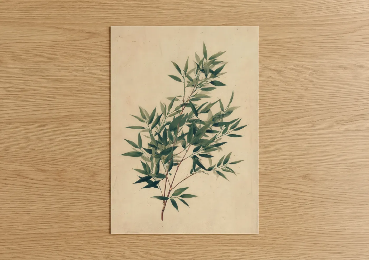 Art print on warm oak wood — cream and sage green palette — Serene Bamboo poster