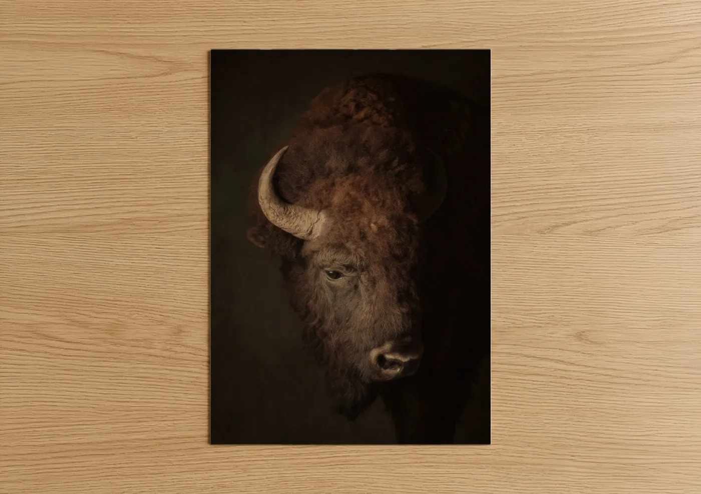 Majestic Bison Portrait Wildlife Wall Art