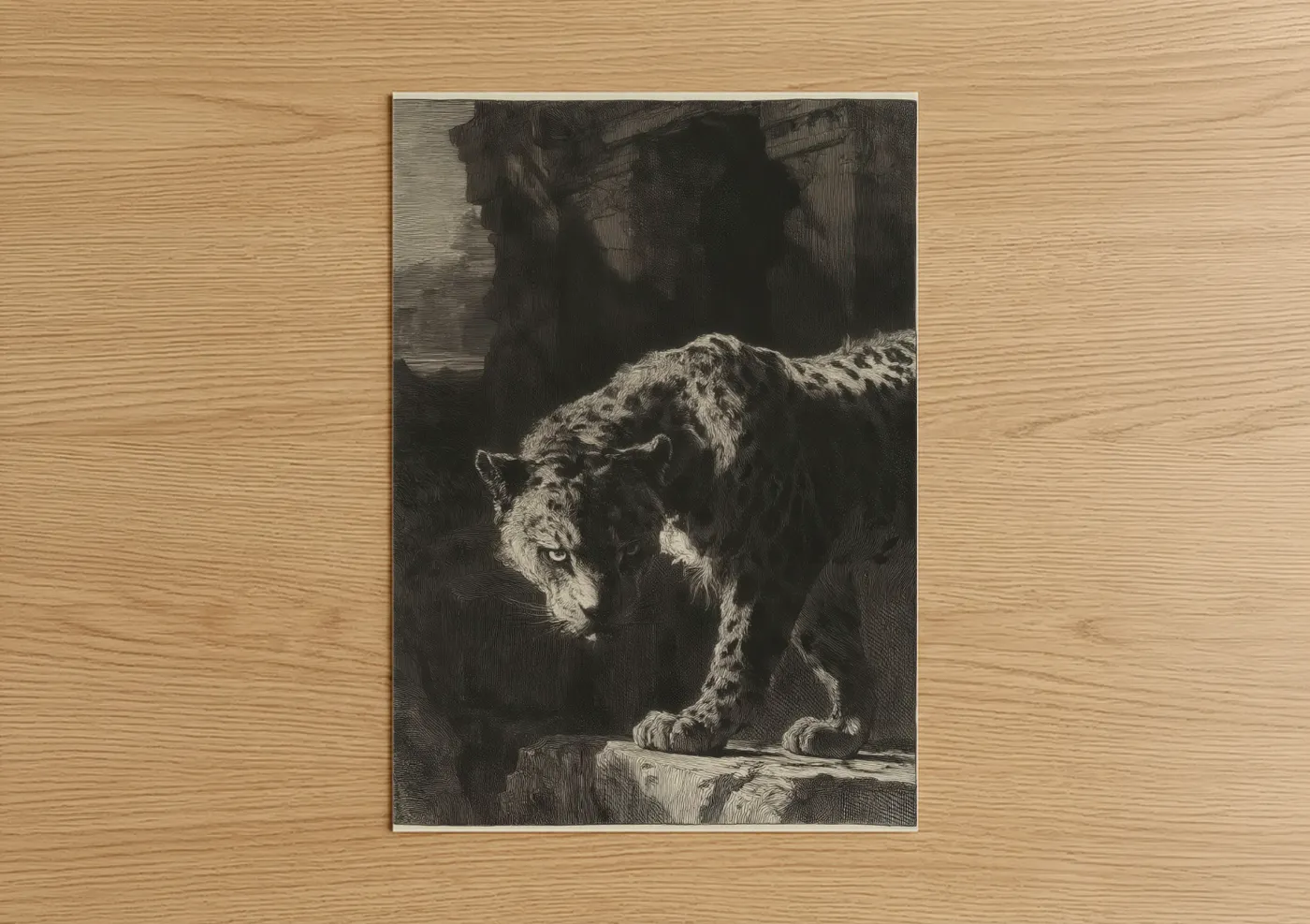 Art print on warm oak wood — black and white palette — Prowling Leopard poster