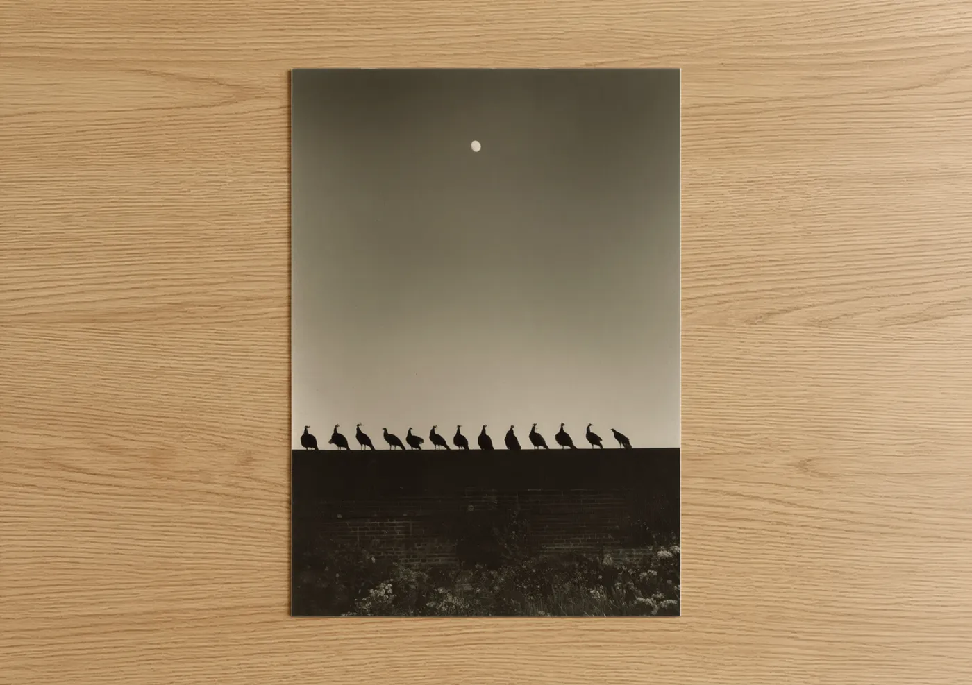 Peacock Silhouettes Minimalist Wall Art