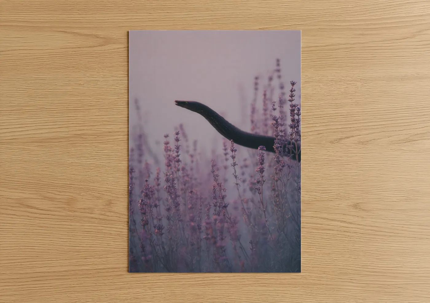Eels art print on warm oak wood — lavender and gray palette — Lavender Eel poster