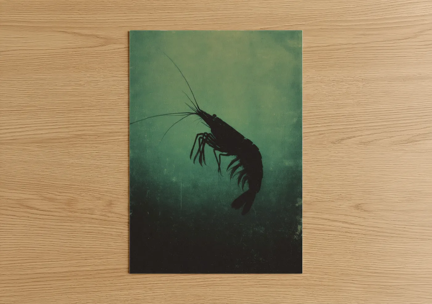 Deep Water Shrimp Silhouette Wall Art