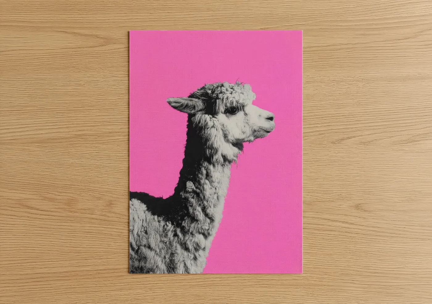 Art print on warm oak wood — magenta and black and white palette — Pop Art Alpaca poster