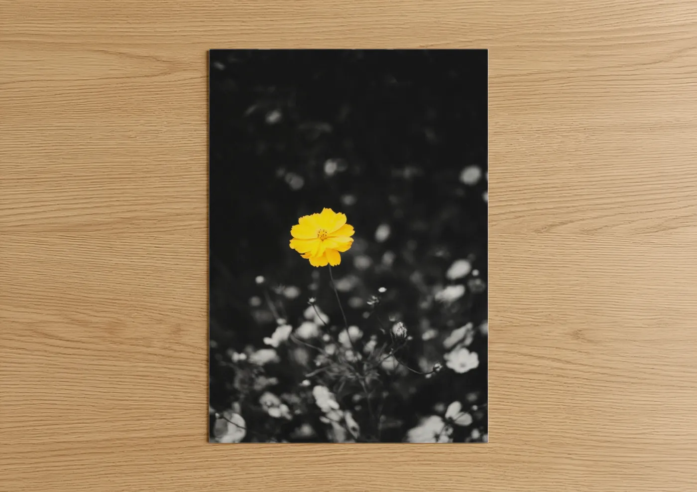 Abstract flower art print on warm oak wood — yellow and black and white palette — Luminous Bloom poster