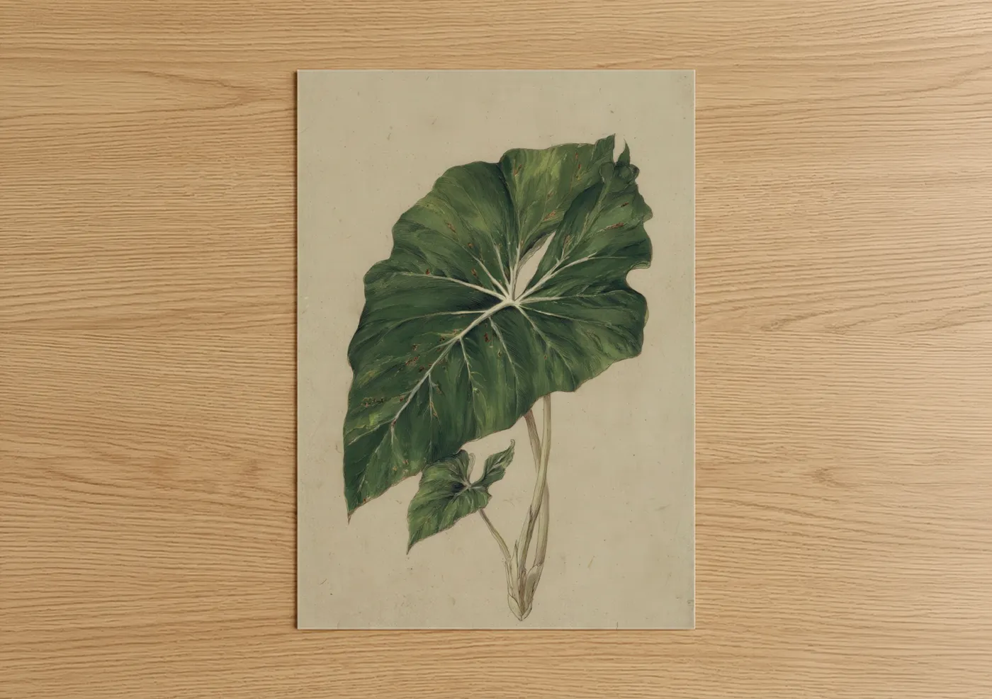 Botanical Tropical Leaf Watercolor Wall Art