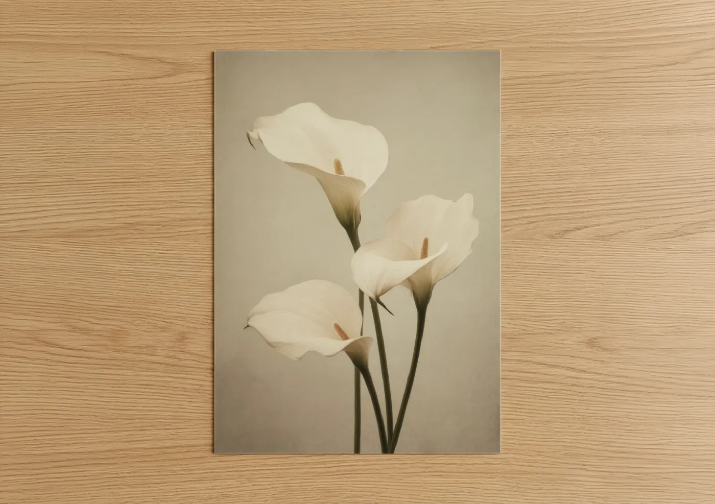 White Calla Lilies Spring Floral Wall Art