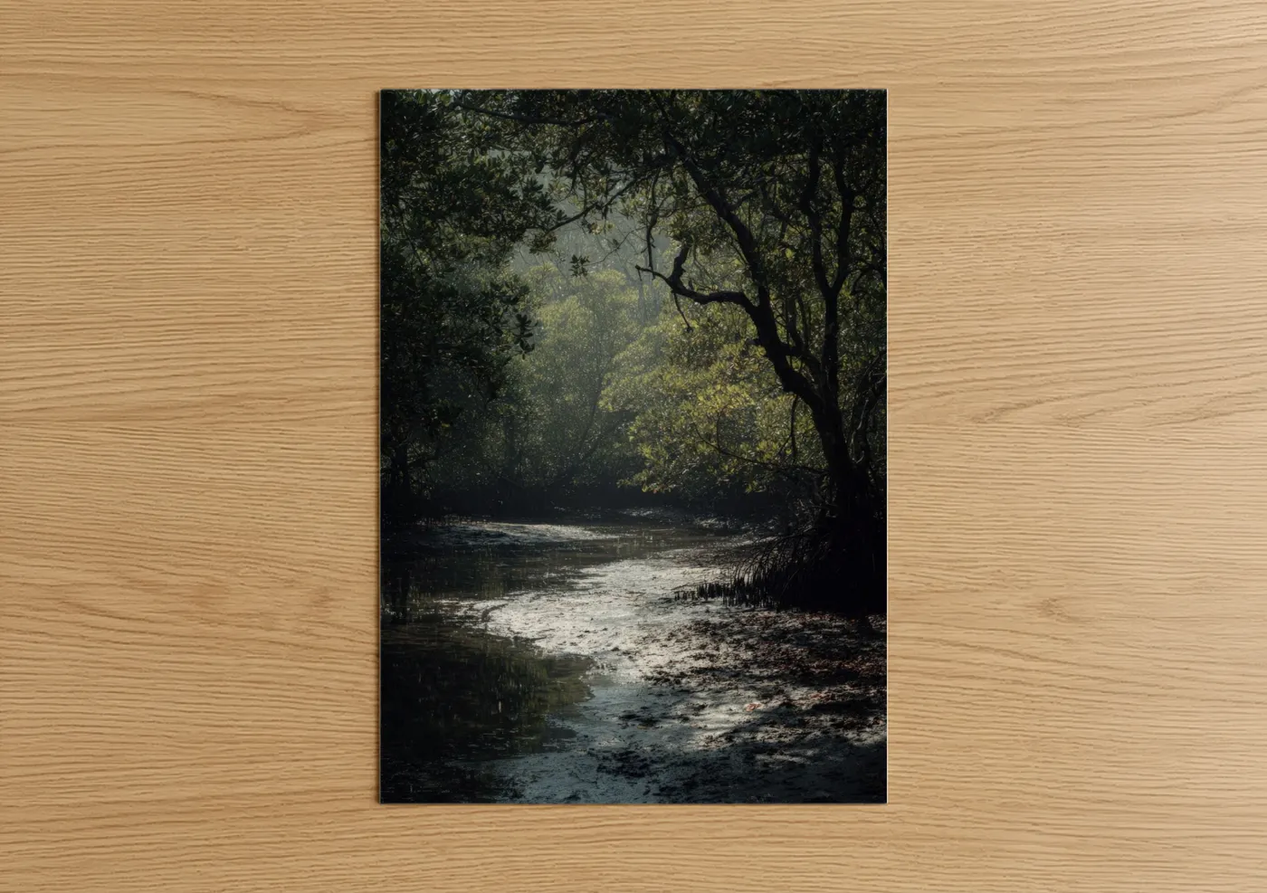 Art print on warm oak wood — dark green and gray and white palette — Mangrove Sanctuary poster
