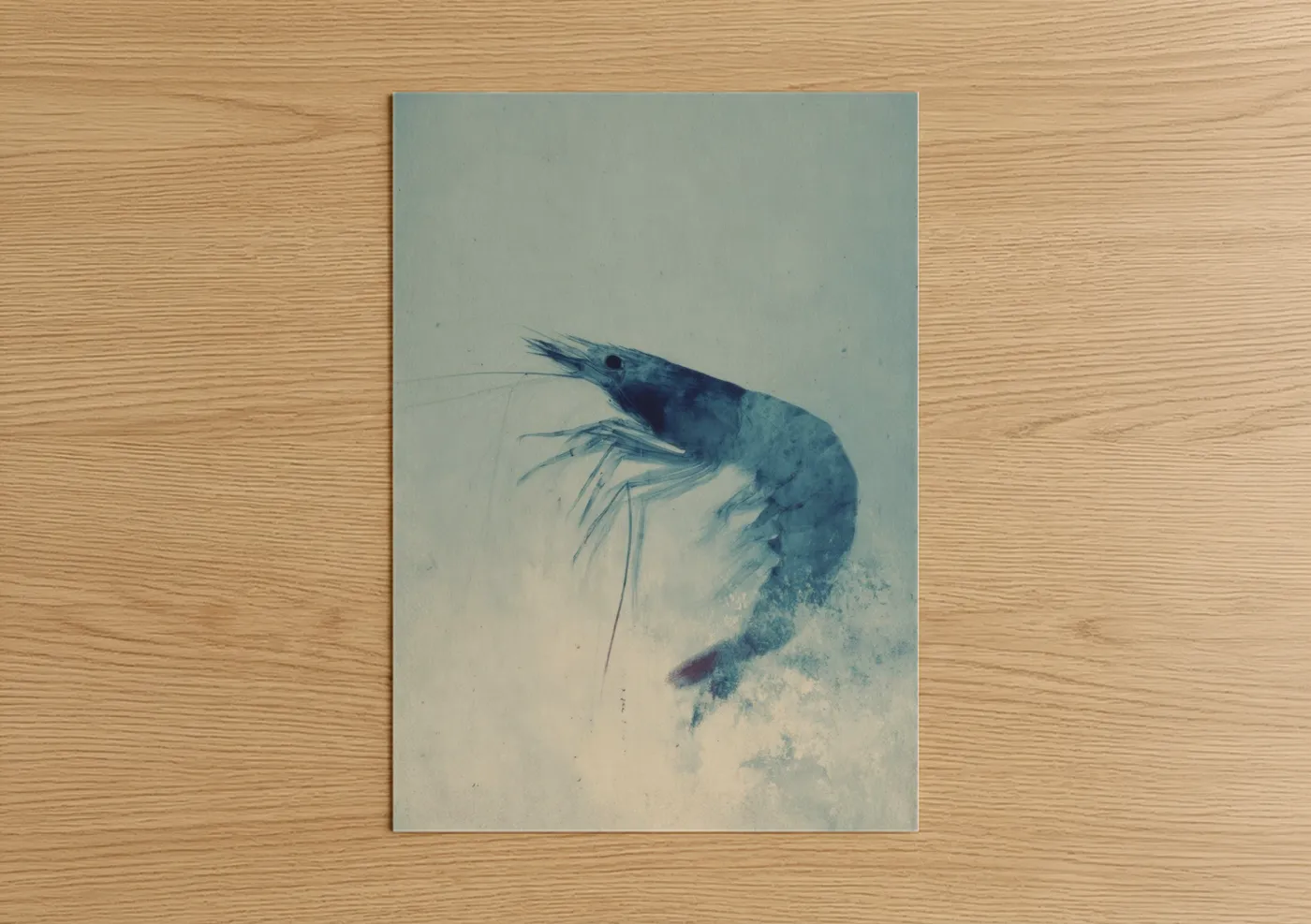 Watercolor Shrimp Blue Ocean Wall Art