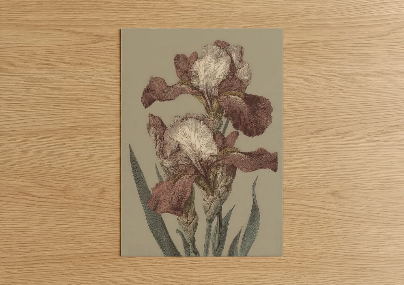 Mauve Iris Pair Botanical Illustration Wall Art