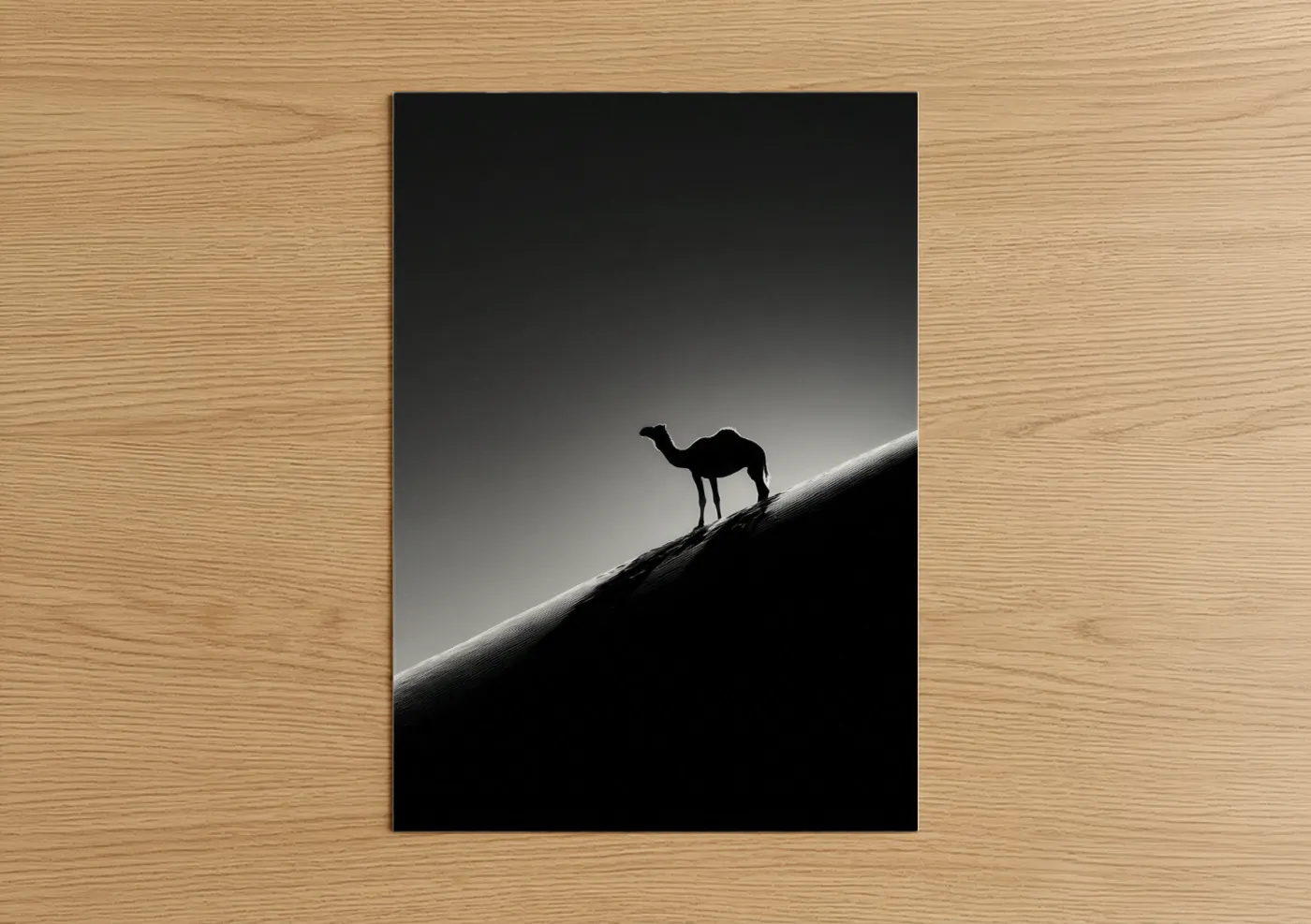 Desert Silhouette Camel Black White Wall Art