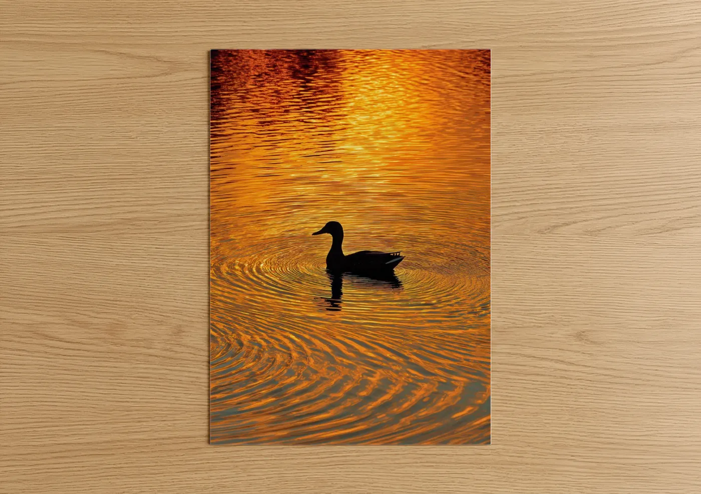 Duck Sunset Water Silhouette Photography Wall Art