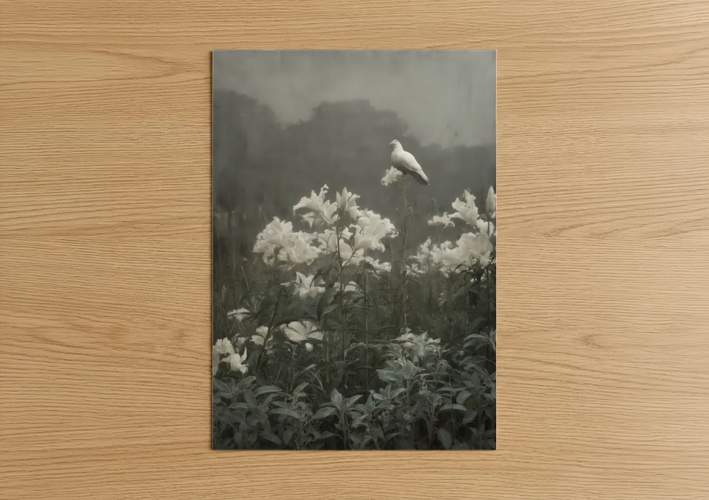 Art print on warm oak wood — black and white and gray palette — Misty Dove poster