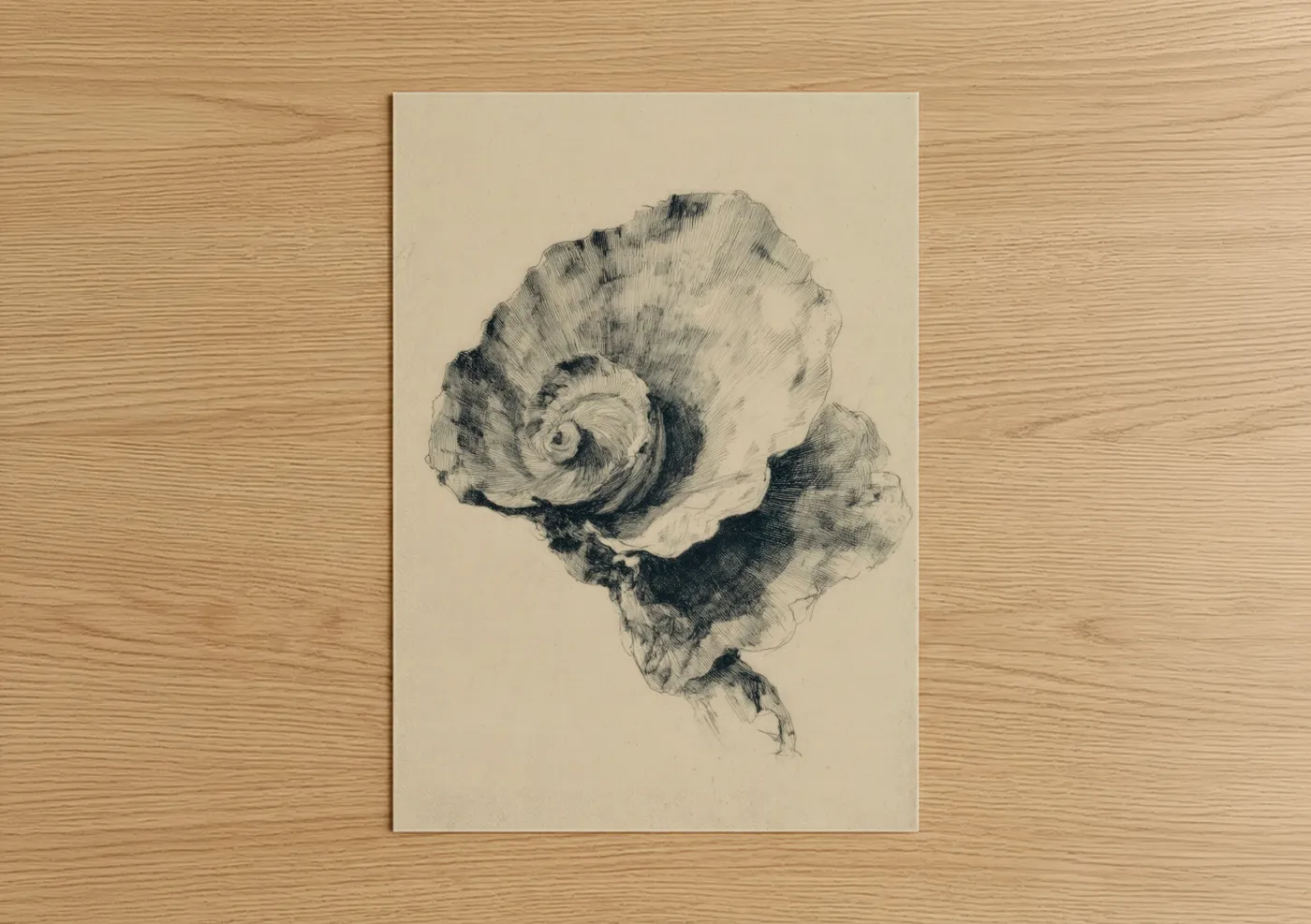Sketched Oyster Shell Line Art Drawing Wall Art