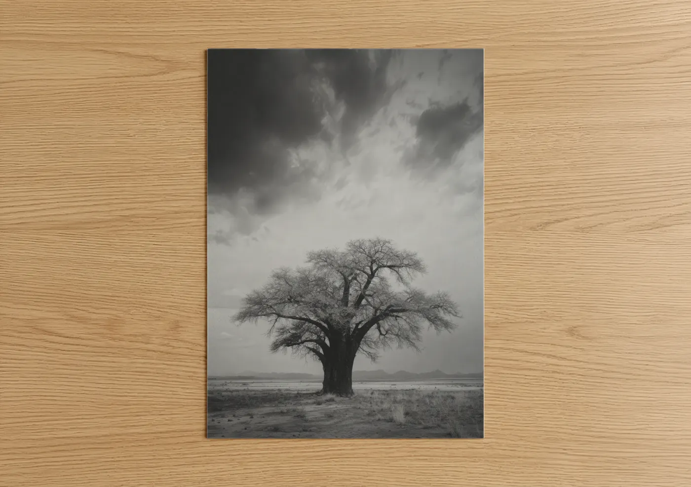 Solitary Baobab Tree Moody Landscape Wall Art