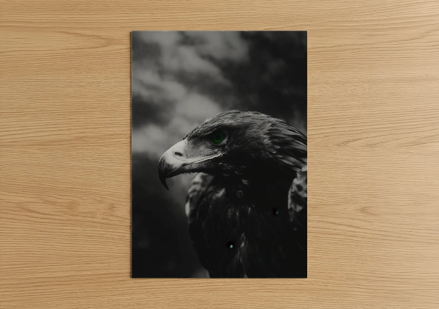 Emerald-Eyed Eagle Portrait Black White Wall Art