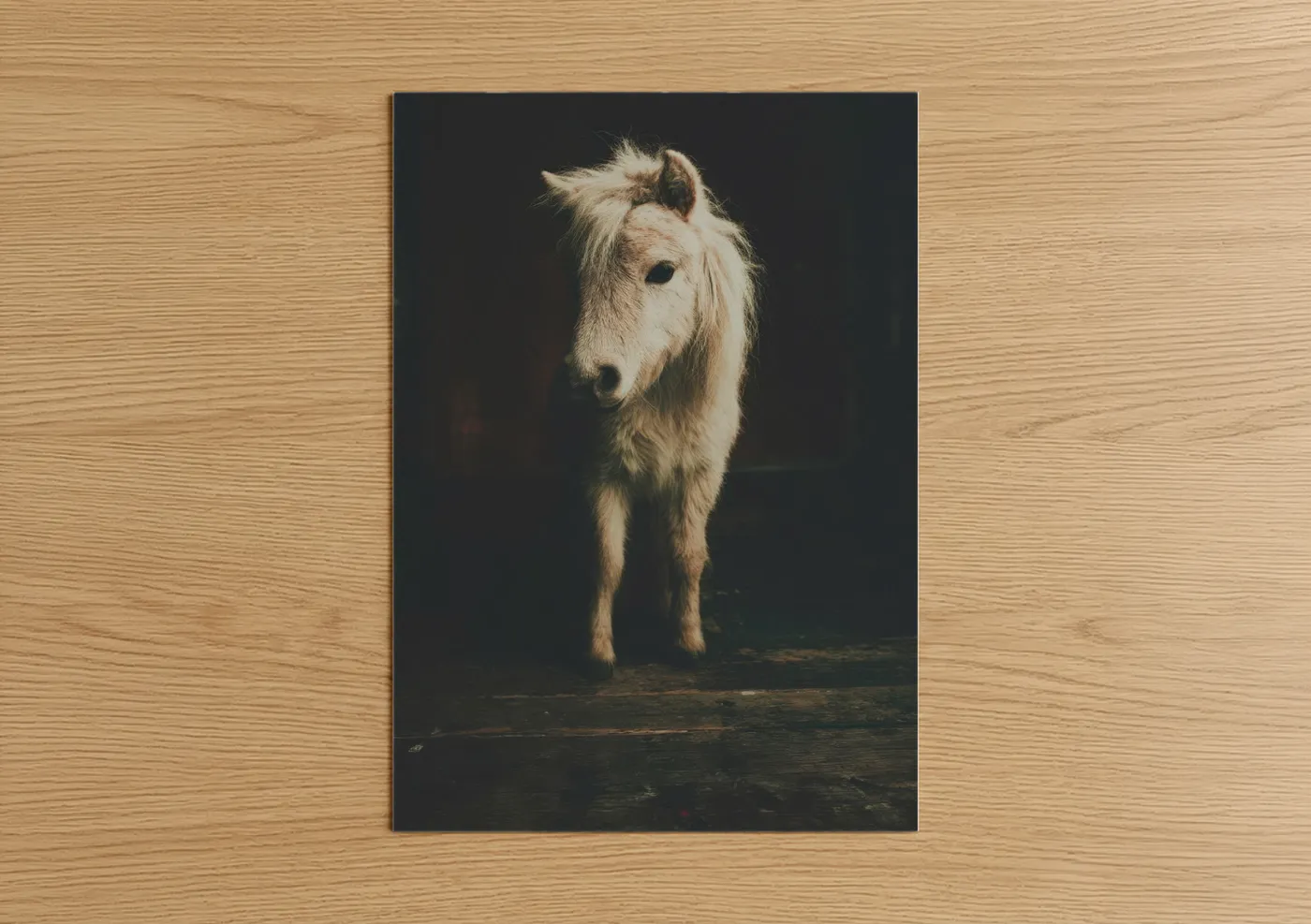 Golden Miniature Horse Portrait Wall Art