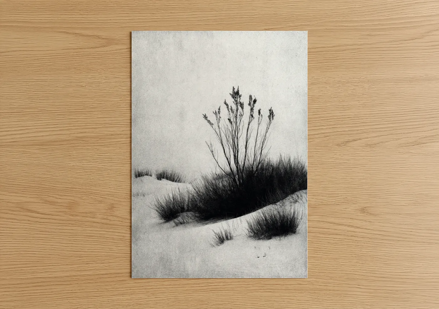 Minimalist Dune Grasses Black and White Wall Art