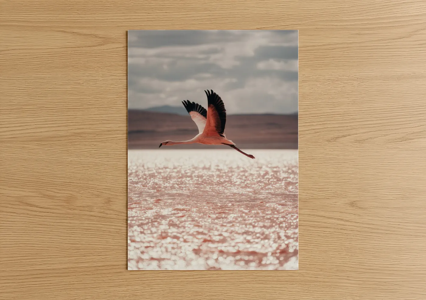 Pink Flamingo in Flight Salt Lake Wall Art