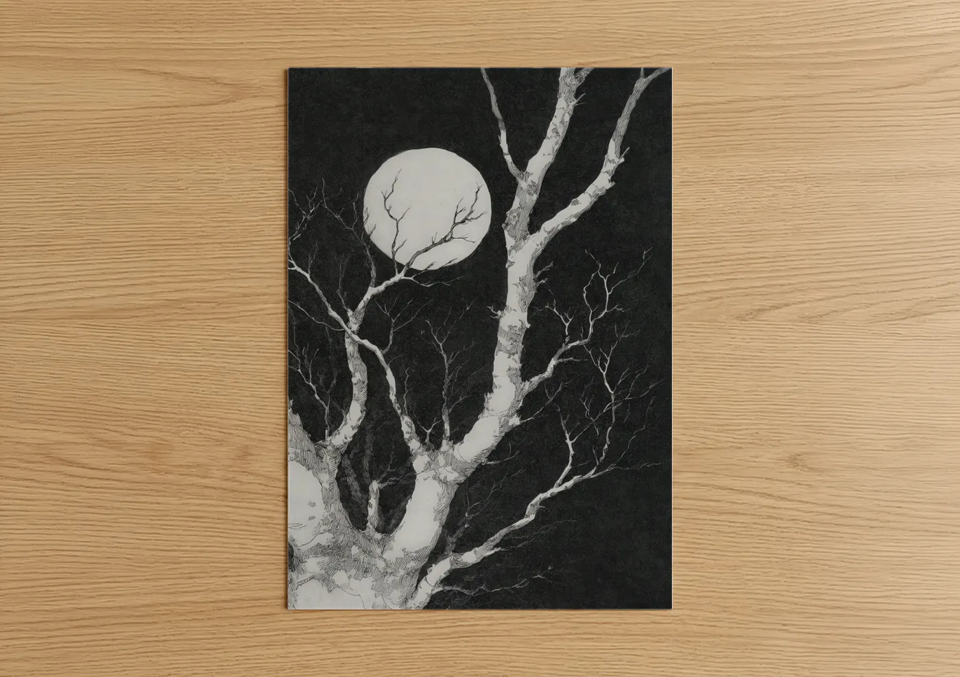 Moonlit Birch Tree Night Sky Wall Art