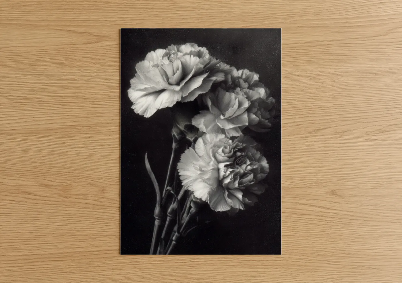 Black and White Classic Carnations Wall Art