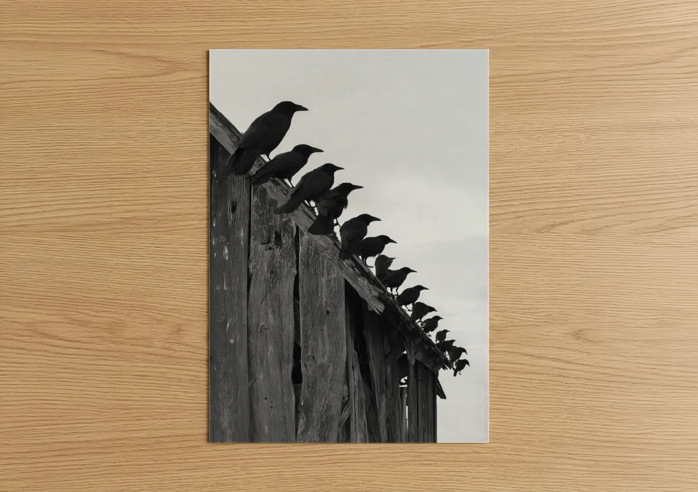 Black Ravens on Wooden Perch Wall Art