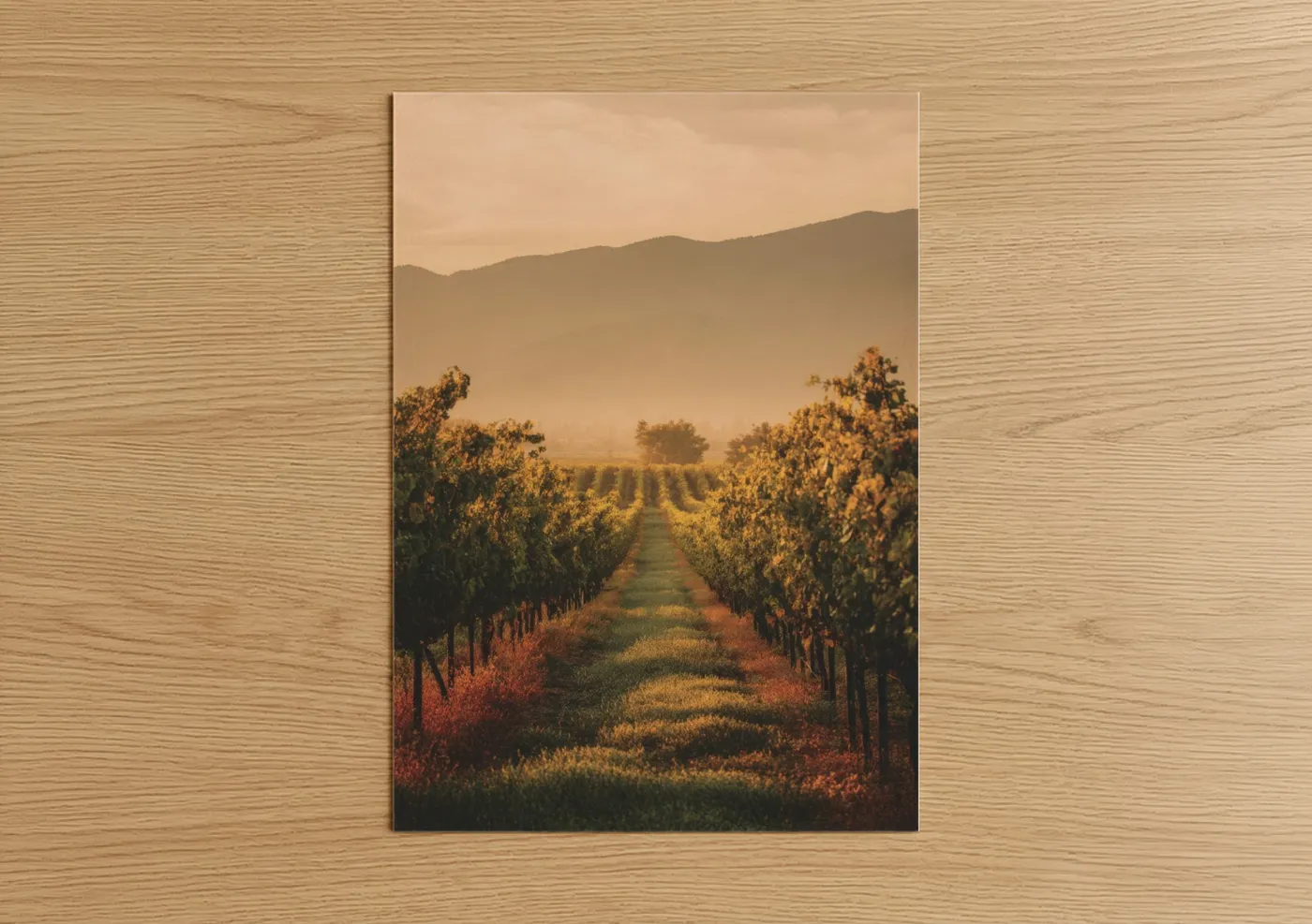 Golden Vineyard Sunrise Over Mountains Wall Art