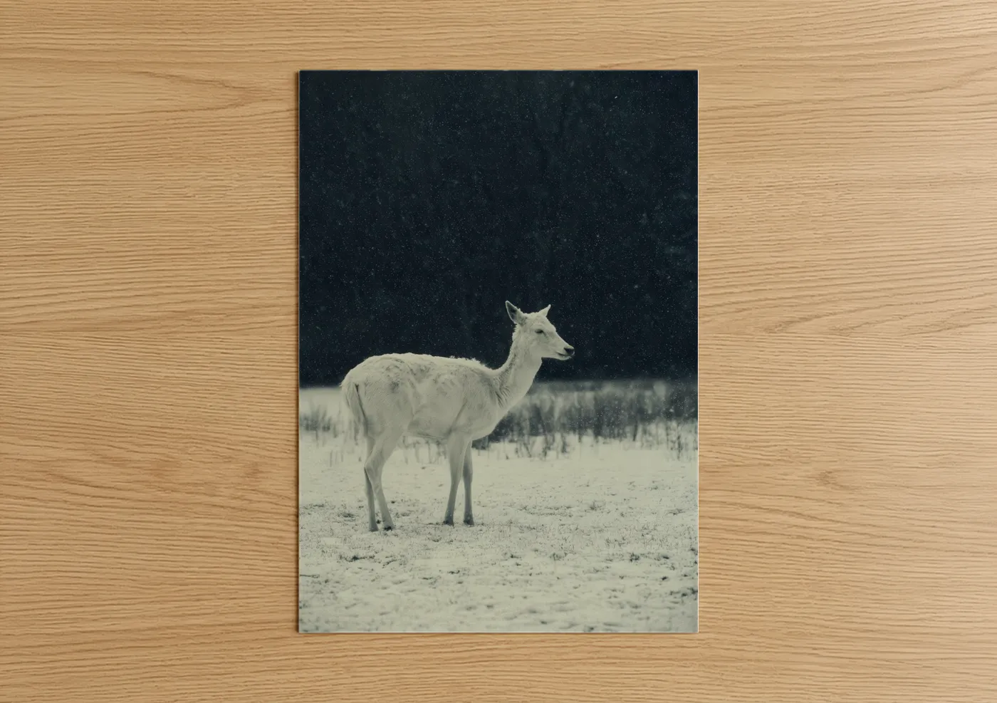 Art print on warm oak wood — black and white and dark blue palette — Winter Antelope poster