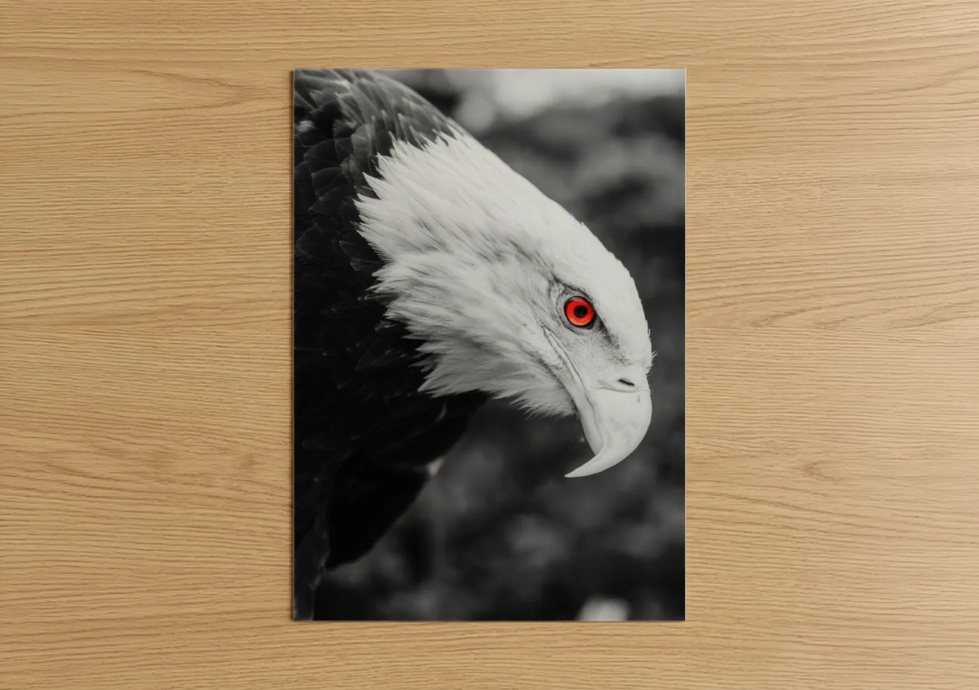 Art print on warm oak wood — black and white and red palette — Crimson-Eyed Eagle poster