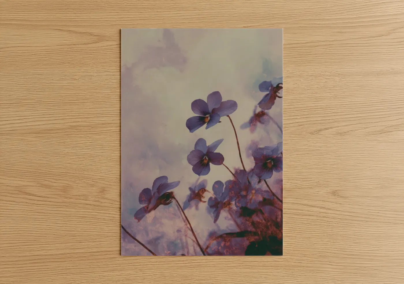 Art print on warm oak wood — lavender and dove gray palette — Misty Violets poster