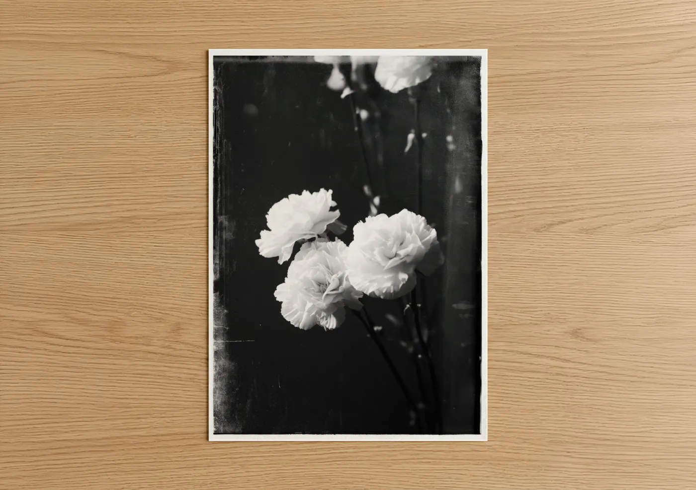 Art print on warm oak wood — black and white palette — Vintage Carnations poster